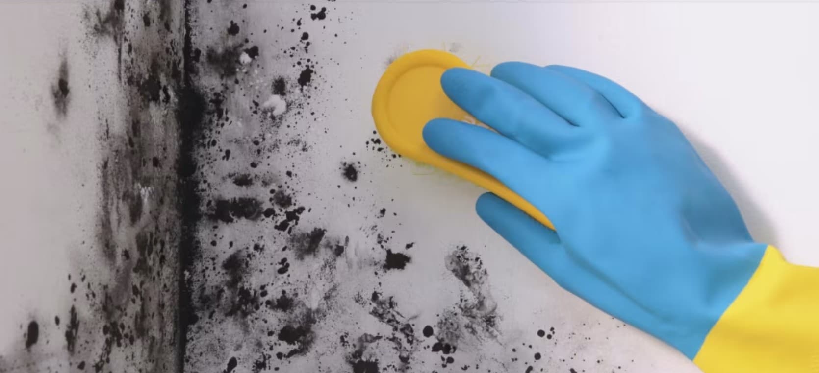 Removal of Stains & Moulds
